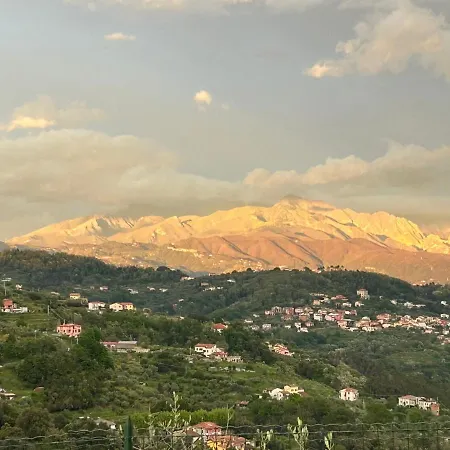 Gli Ulivi Di Montalbano