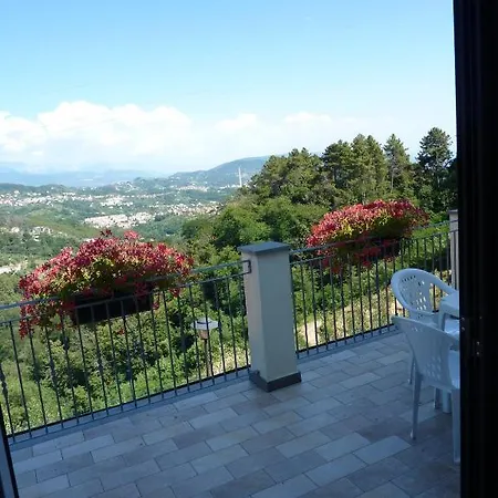 Gli Ulivi Di Montalbano