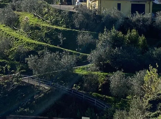 Gli Ulivi Di Montalbano Agroturismo La Spezia