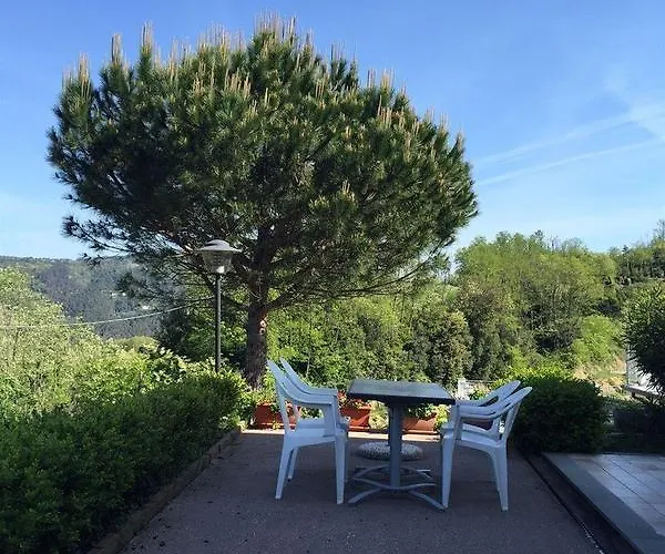 Gli Ulivi Di Montalbano *