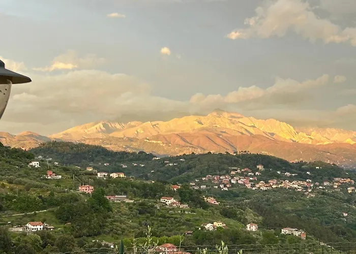 Gli Ulivi Di Montalbano