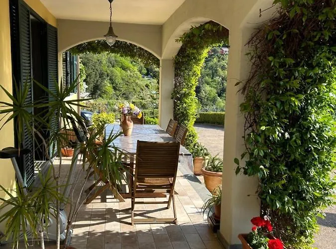 Gli Ulivi Di Montalbano *