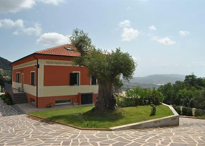 Gli Ulivi Di Montalbano