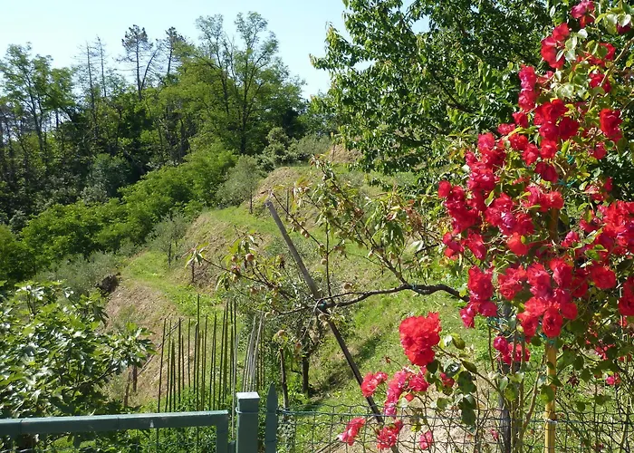 Agroturismo Gli Ulivi Di Montalbano *