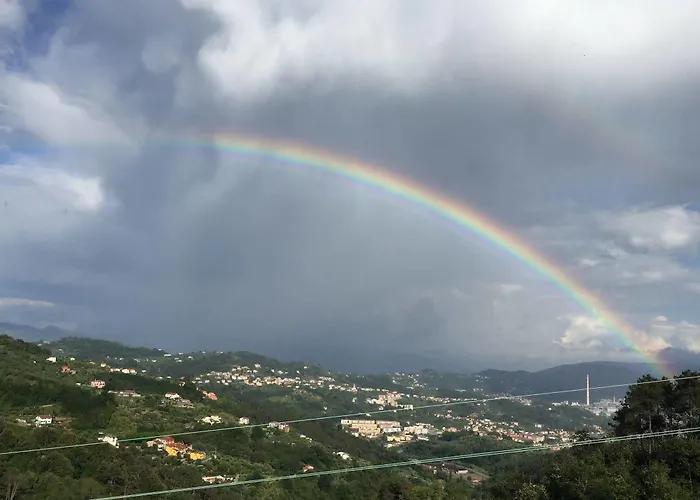 Gli Ulivi Di Montalbano Agroturismo *