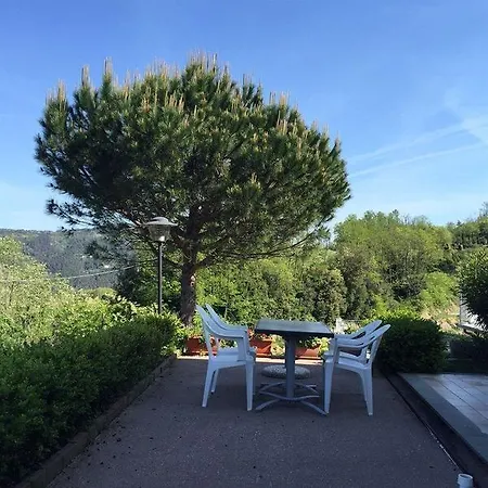 Gli Ulivi Di Montalbano *