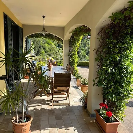 Gli Ulivi Di Montalbano *