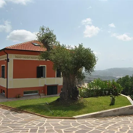 Gli Ulivi Di Montalbano