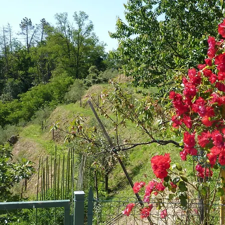 Vakantieboerderij Gli Ulivi Di Montalbano *