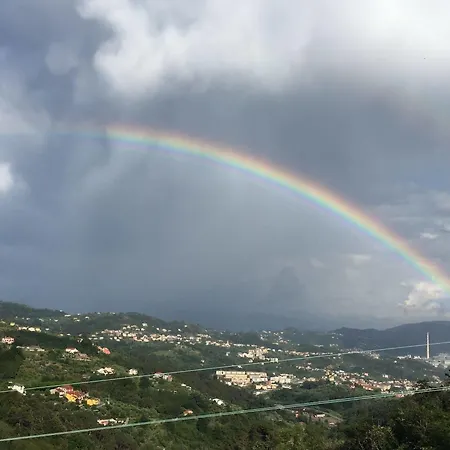 Gli Ulivi Di Montalbano Vakantieboerderij *
